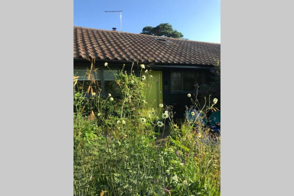 The Yellow Door Whitstable - Peaceful Retreat Close To Beach Buitenkant foto